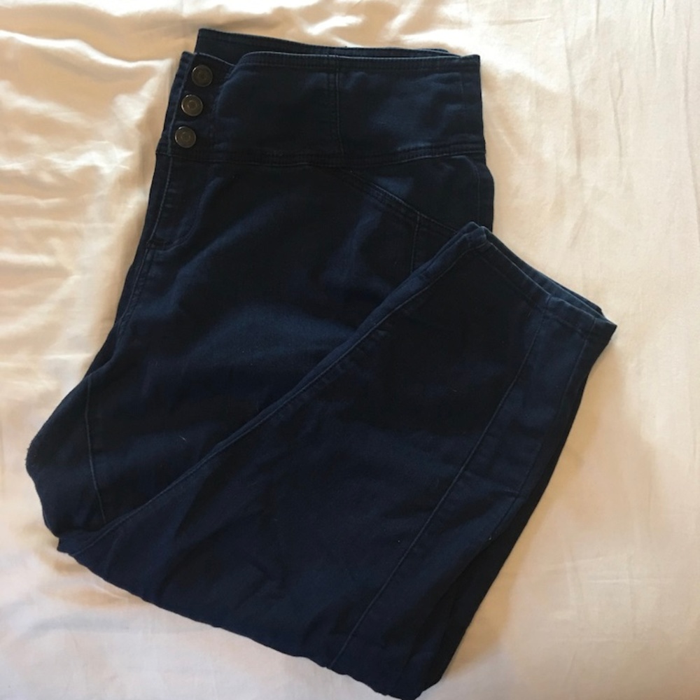 Lane Bryant 24 Blue Skinny Ankle cropped pants